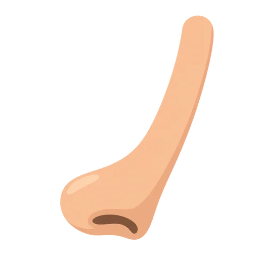 Mnemonic for ノ: NOse
